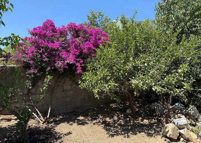 Monolithos House * Lagoudi Zia